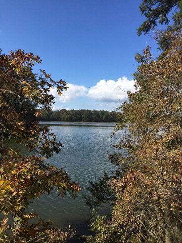 431 Us Hwy 431, Eufaula, AL 36027